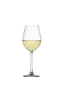 Spiegelau Salute White Wine -valkoviinilasi 4 kpl
