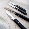 Robert Welch Trattoria pihviveitsi 1 kpl