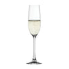 Spiegelau Salute Champagne Flute -samppanjalasi 4 kpl